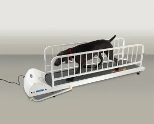 PetRun Large Breed Treadmill (PR725)