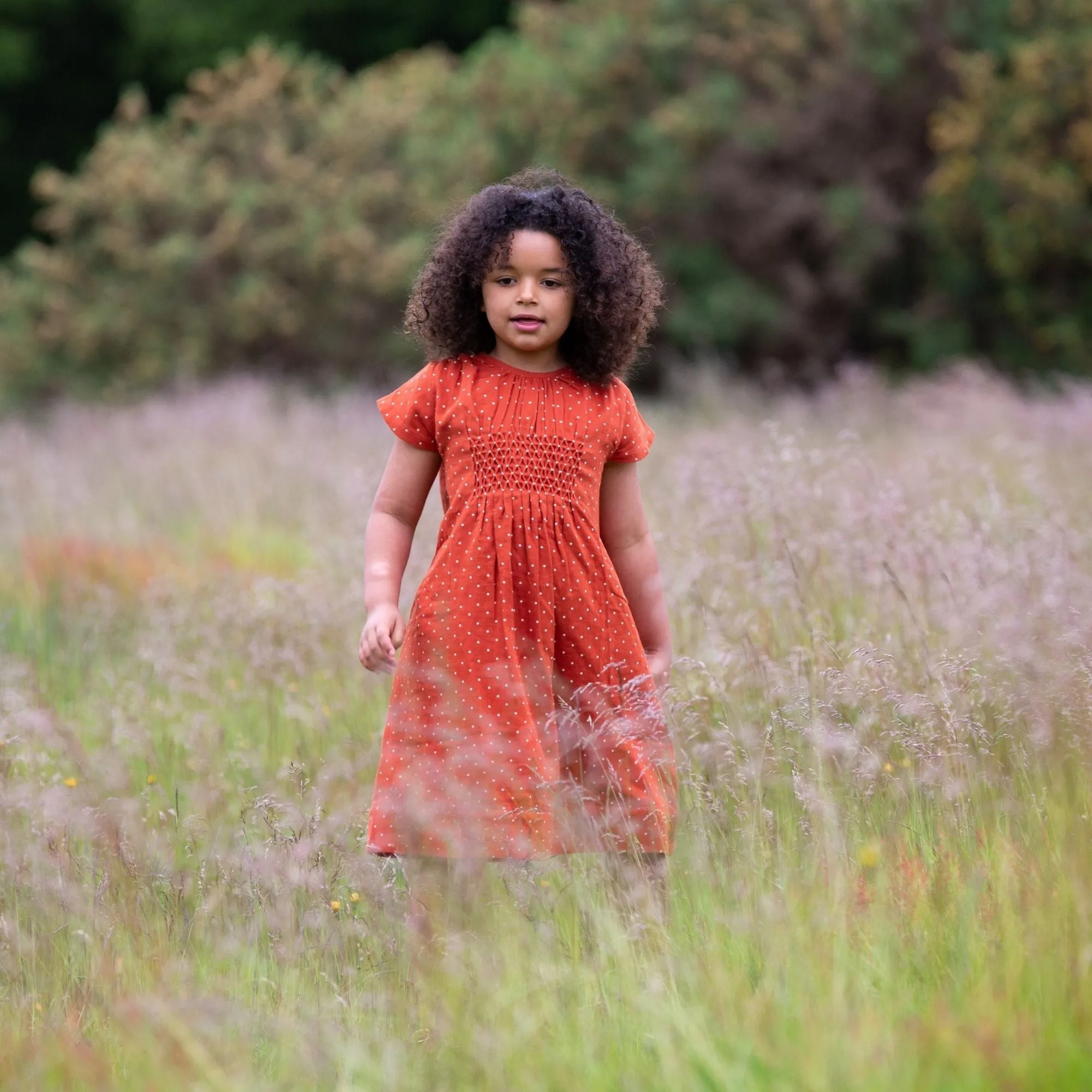 Walnut Polkadot Smocked Dress