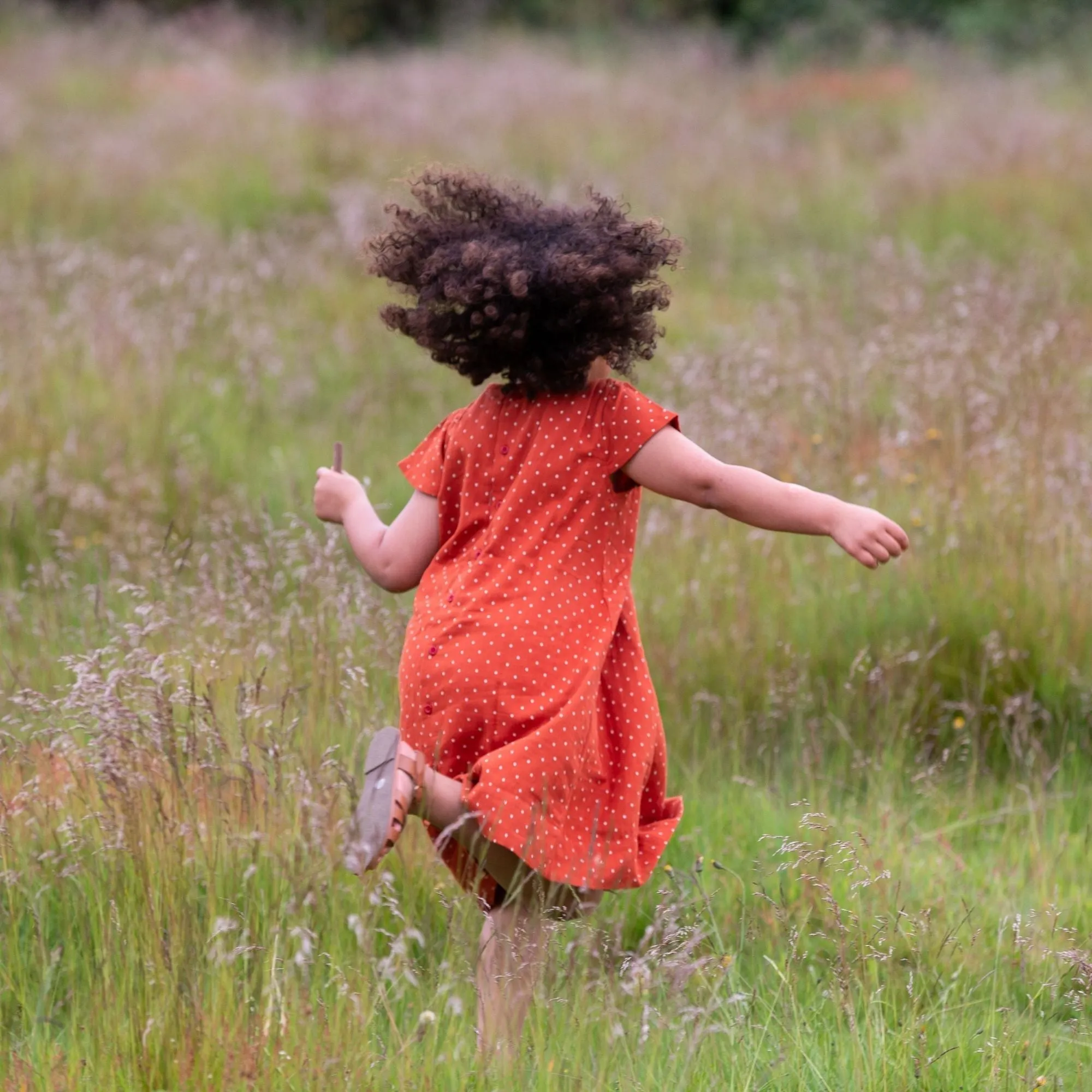 Walnut Polkadot Smocked Dress