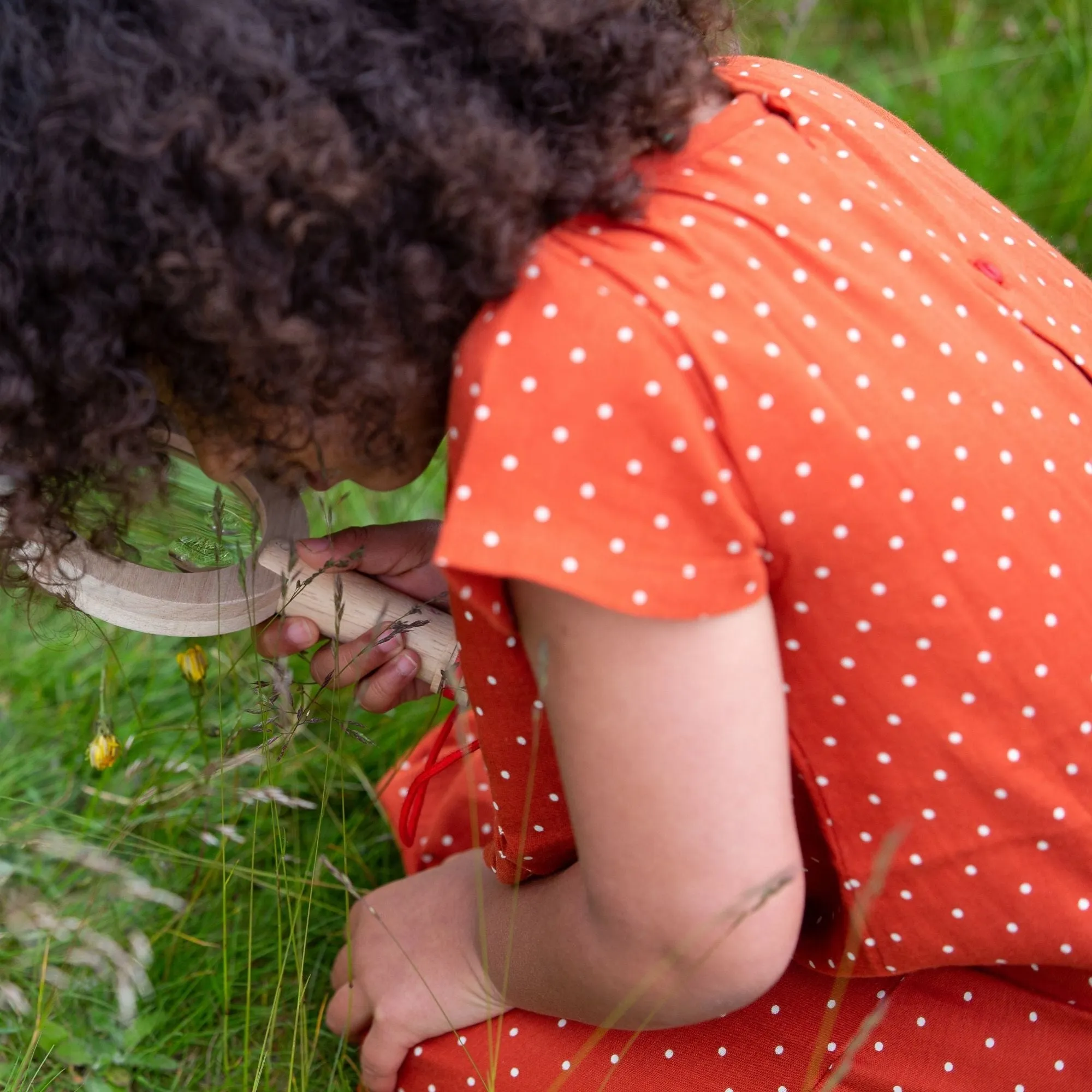 Walnut Polkadot Smocked Dress